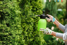 How to Prepare Your Garden for the Hottest Months