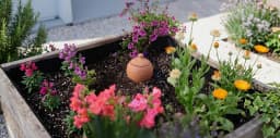 Summer strategy: how to protect your plants