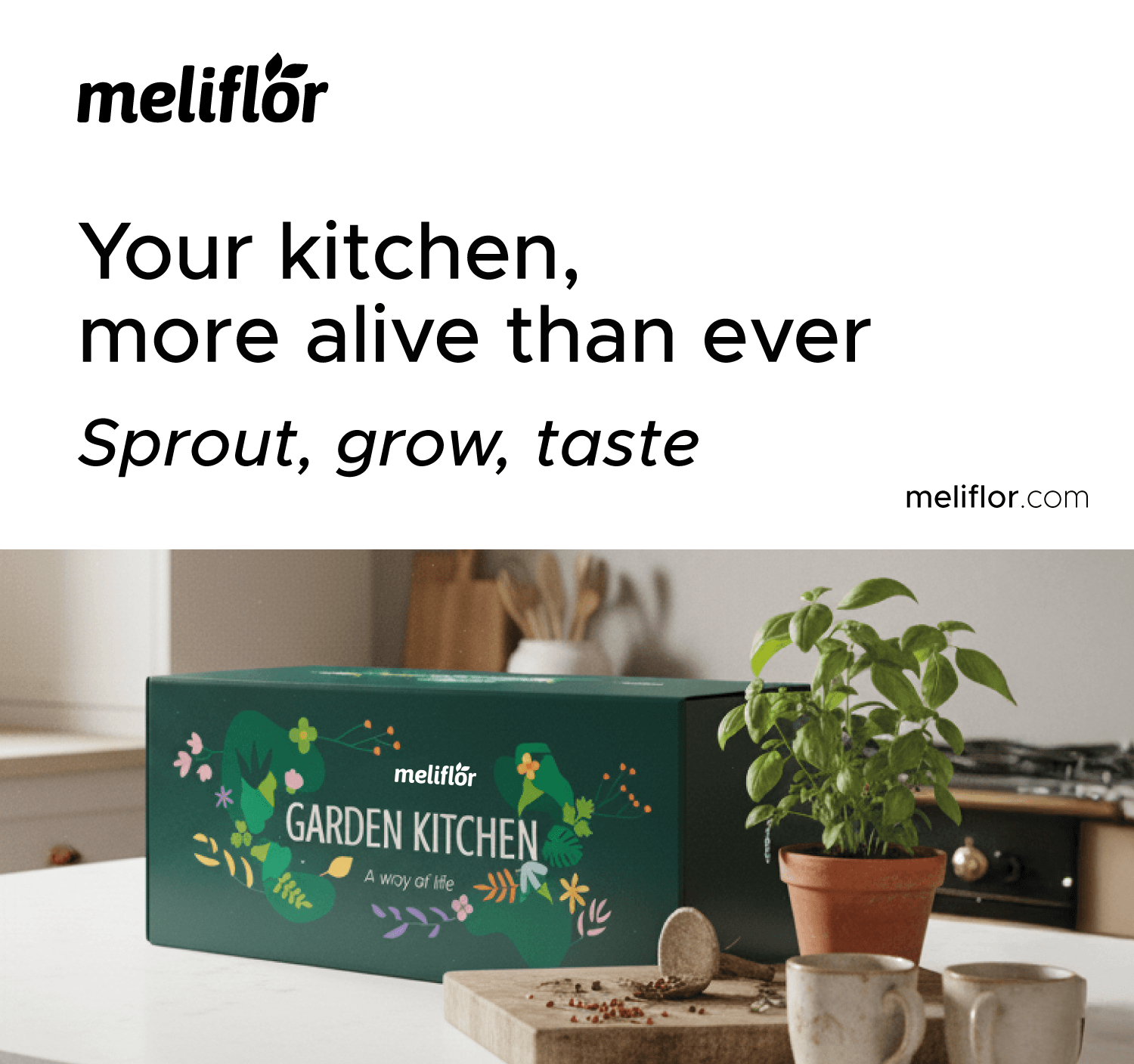 Reduce your water consumption by up to 70% with Meliflor watering pots.