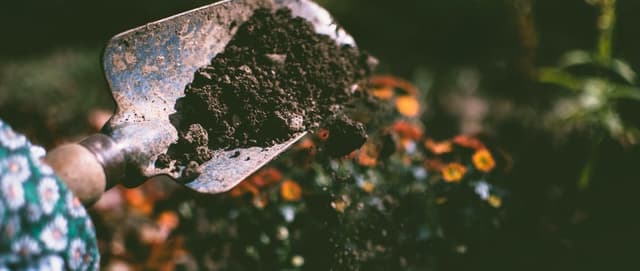 How do I choose the best substrate?