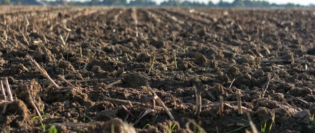 What is substrate and what is it used for?