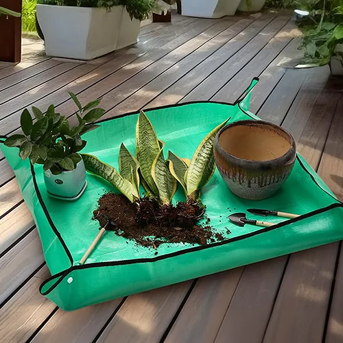 Plant Care